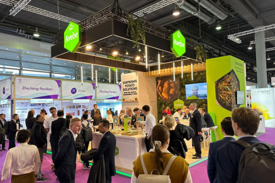 Ontwerp zonder titel (26)